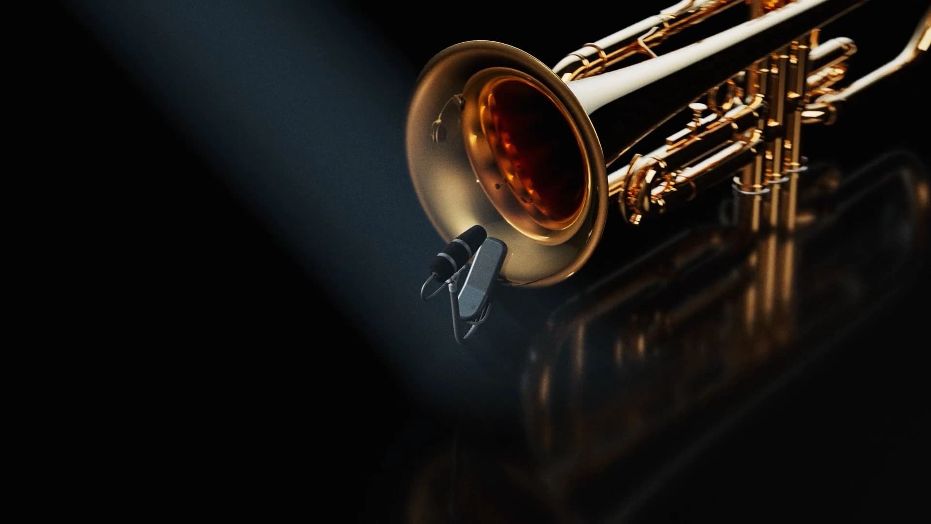 DPA 4099 CORE+ Instrument Mic Detail 5
